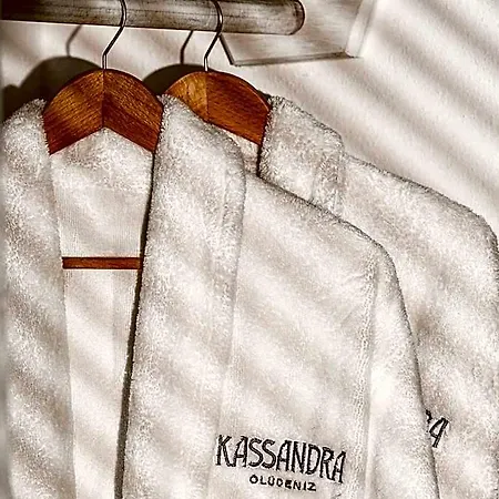 호텔 Kassandra 올루데니스